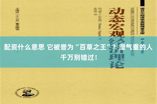 配资什么意思 它被誉为“百草之王”？湿气重的人千万别错过！