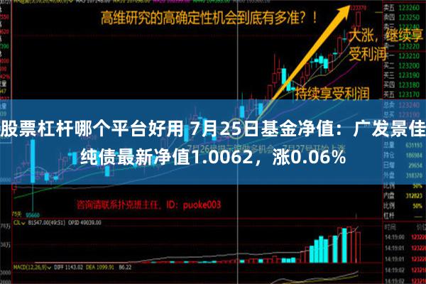 股票杠杆哪个平台好用 7月25日基金净值：广发景佳纯债最新净值1.0062，涨0.06%