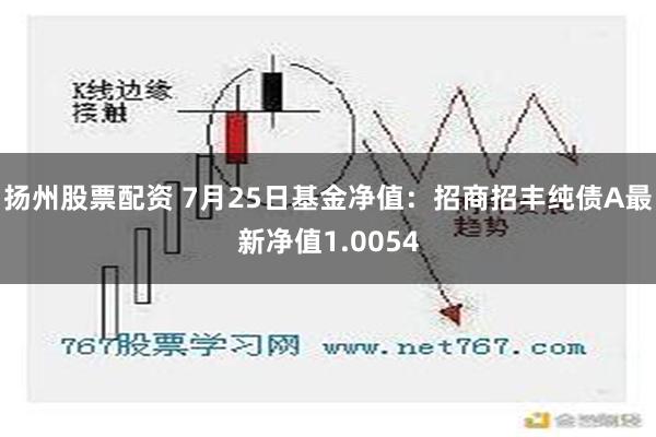 扬州股票配资 7月25日基金净值：招商招丰纯债A最新净值1.0054