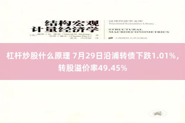 杠杆炒股什么原理 7月29日沿浦转债下跌1.01%，转股溢价率49.45%