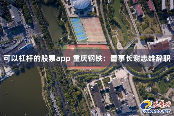 可以杠杆的股票app 重庆钢铁：董事长谢志雄辞职