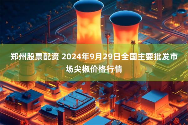 郑州股票配资 2024年9月29日全国主要批发市场尖椒价格行情