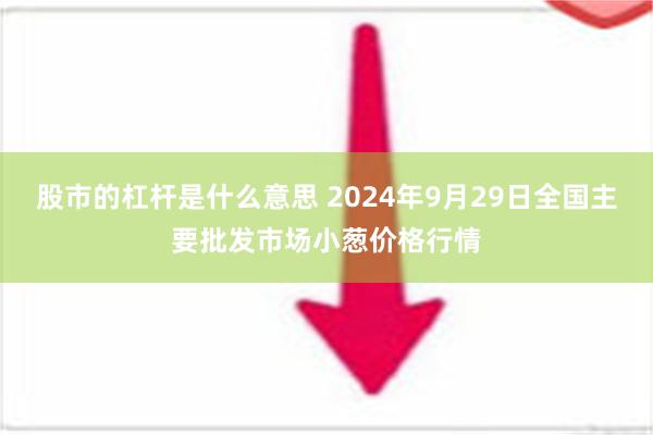 股市的杠杆是什么意思 2024年9月29日全国主要批发市场小葱价格行情