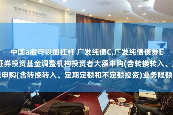 中国a股可以加杠杆 广发纯债C,广发纯债债券E: 关于广发纯债债券型证券投资基金调整机构投资者大额申购(含转换转入、定期定额和不定额投资)业务限额的公告