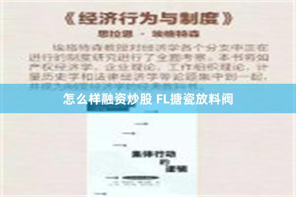 怎么样融资炒股 FL搪瓷放料阀