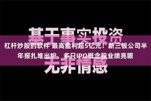 杠杆炒股的软件 最高盈利超5亿元！新三板公司半年报扎堆出炉，多只IPO概念股业绩亮眼