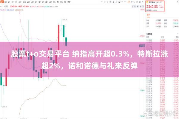 股票t+o交易平台 纳指高开超0.3%，特斯拉涨超2%，诺和诺德与礼来反弹