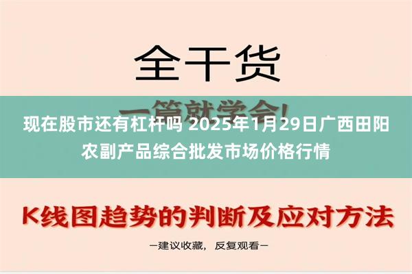 现在股市还有杠杆吗 2025年1月29日广西田阳农副产品综合批发市场价格行情