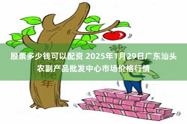 股票多少钱可以配资 2025年1月29日广东汕头农副产品批发中心市场价格行情